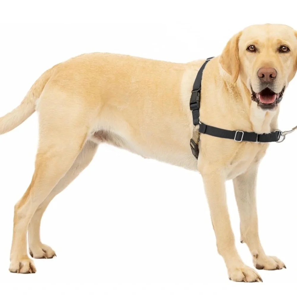 Pet safe no pull easy walk dog harness L gray & black